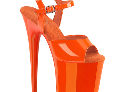 FLAMINGO-809 - Orange Pat/Orange