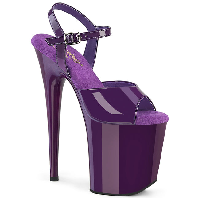FLAMINGO-809 - Purple Pat/Purple